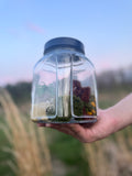 Four Seasons Jar